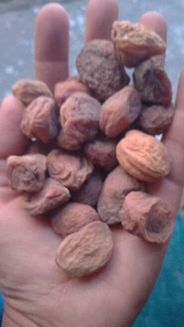 абрикосы оптом: Сушёный абрикос (курага без косточки) - Натуральные половинки — 3