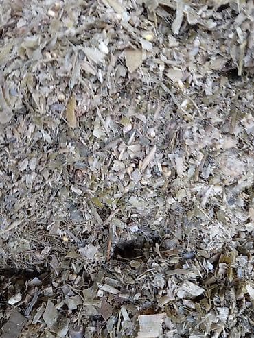 куплю кукуруза для силоса: Силос в тюках (рулонная упаковка) - Корм для КРС, овец, коз и лошадей — 3