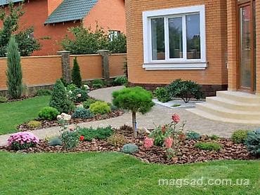 работа официанта: Сеем газон ландшафтный дизайн бишкек авто полив ручной полив посадка — 9