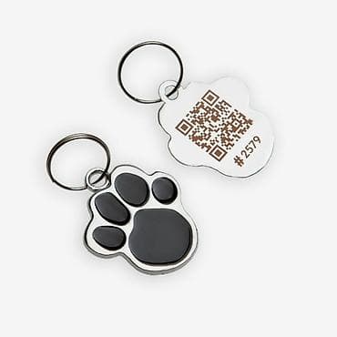 Үй жаныбарлары: Адресники нового поколения для кошек и собак с qr-кодом Размер: ? 3,2 — 1