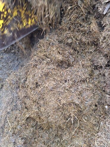 сухой корм для кошек оптом: Продаю сенаж отличного качества с чистой подвяленной люцерны, росыпью — 8