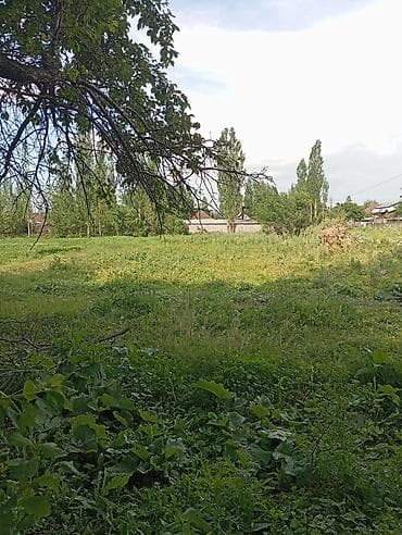 сосновке: Продаётся дом Жайылский район.с Сосновка. участок 21сотик. имеется — 4