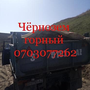 4 pot: В тоннах, Платная доставка, Зил — 1