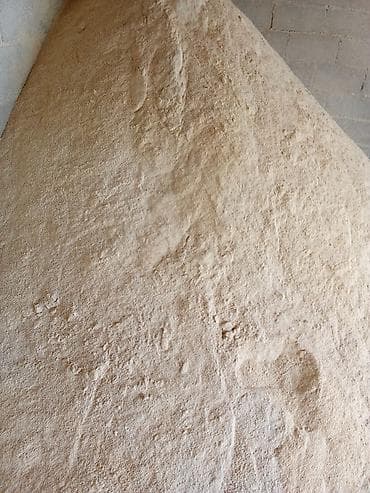 тоок сатып алам: Кукуруза дроблёный 26 сом — 1