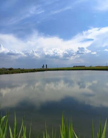 обмен кв на дом: 600 соток, Для бизнеса, Красная книга — 33