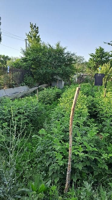 резанный контейнер: Продаётся дачаный дом мансардные болшой1комнат,1этаж 4-комнатый,и — 10