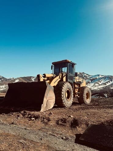 фронталный погрузчик: Погрузчик, LiuGong, 2010 г., Колесный, Ковшовый — 3