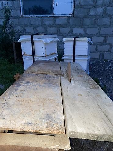 форс 142: Распиловочный станок без ЧПУ, Циркулярка — 2