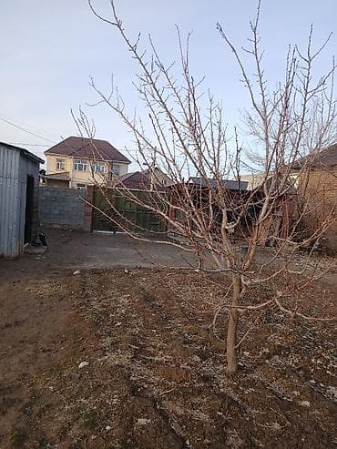 дом ала арча: Дом, 2500 м², 3 комнаты — 9