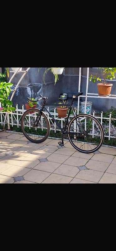 городской велик: Городской велосипед, Рама L (172 - 185 см) — 1