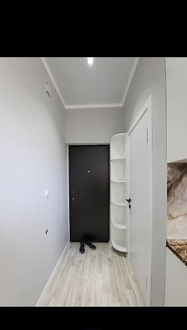 platinum park: 1 комната, 15 м², 106 серия улучшенная, Цокольный этаж этаж, Евроремонт — 2