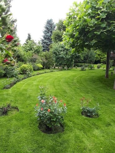 обмен на комнатные растения: Обрезка плодовых и декоративных деревьев, винограда,роз и других — 9