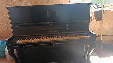 тромбон музыкальный инструмент: Пианино (вертикальное) классическая акустическая модель в черном — 1