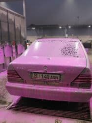 меняю дом на авто: Mercedes-Benz S-Class: 1996 г., 3.2 л, Автомат, Газ, Седан — 18