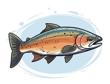 корм для животных: 🐟 ФОРЕЛЬ НА ЛЮБОЙ ВКУС И ЦВЕТ! 😋 Живая — свежая и отборная 🐟 — 1