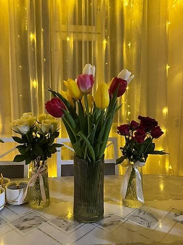 псо кв: Медициналык кабинеттин ичинен 14м 2 болгон кабинет арендага берилет — 2