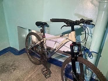 коляска skillmax 3 в 1: Горный велосипед, Skillmax, Алюминий — 6