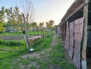дом крассный строитель: 12 соток, Айыл чарба үчүн, Техпаспорт — 6