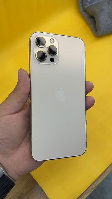 another 13: IPhone 12 Pro Max, Б/у, 256 ГБ, 100 % — 2