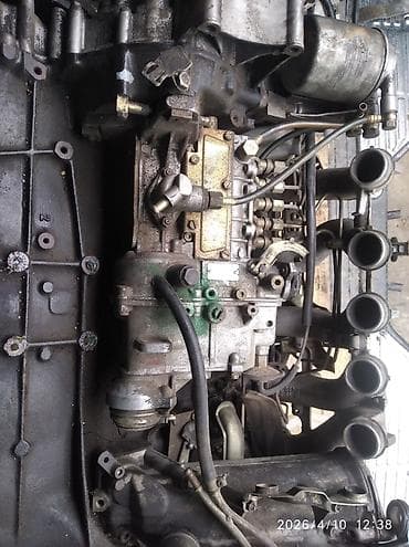 кошки купить бишкек: Муссо Санёнг 2,9 дизель мотору сатылат — 2