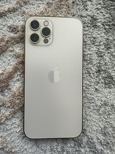 11 iphone pro max: IPhone 12 Pro Max, Серебристый — 1