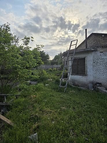 Жер тилкелери: 52 соток, Бизнес үчүн, Кызыл китеп — 6