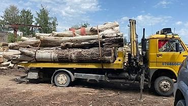 mir muz: С манипулятором — 9