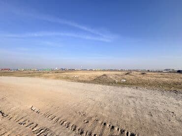 продаю участок на иссык куле село тамчы: 1500 соток, Для бизнеса, Красная книга — 8