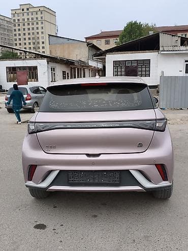 super cub: BYD Dolphin: 2022 г., Электромобиль, Хэтчбэк — 2