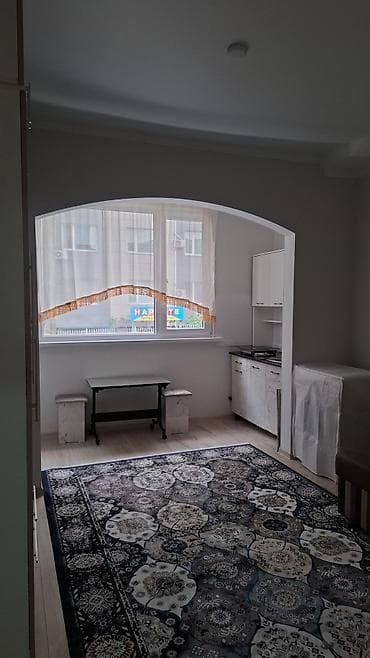 1 комната, 22 м², Элитка, 1 этаж, Евроремонт