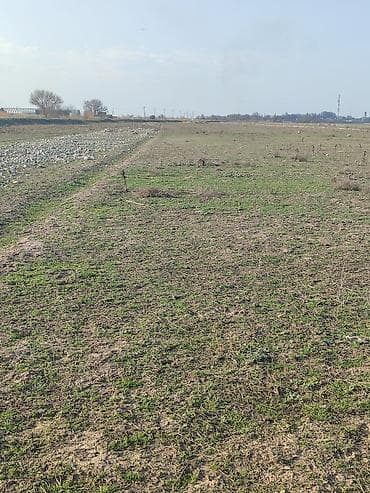 срочно продаётся: 4 соток, Для сельского хозяйства, Генеральная доверенность — 5