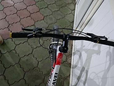 Подростковый 
Горный велосипед X-TRAVEL Sport 24"
ДИАМЕТР КОЛЕС *24* — 3