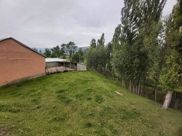 дом в сукулуке: Дом, 999999999 м², 5 комнат, Собственник — 3