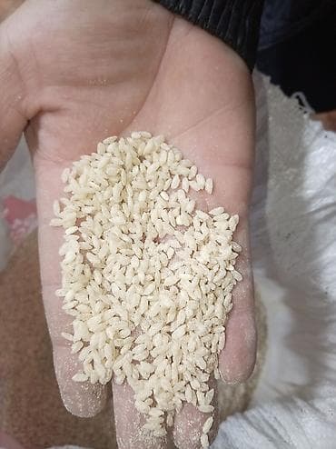 суу качалка: 🌾 АК ТУРПАК КУРУЧУ идеал. 🌾 Даамдуу, таза, сапаттуу идеал. ✔️ Ак — 1