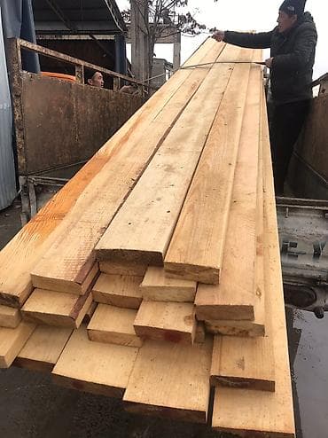 Сухой лес, сосна