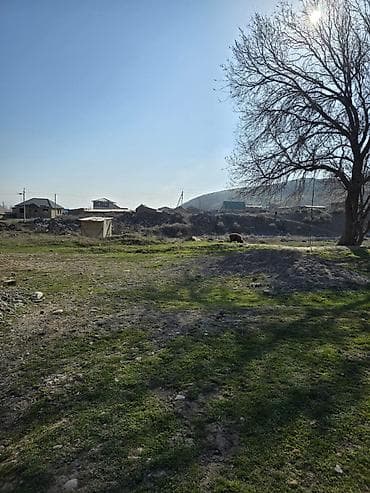 5 соток, Сатып алуу-сатуу келишими, Кызыл китеп