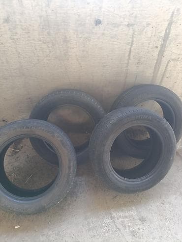 шины беловодск: Шины 205 / 60 / R 16, Лето, Комплект, Легковые, Belshyna — 1