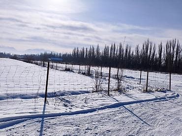 Продажа участков: 100 соток, Для бизнеса, Договор купли-продажи — 3