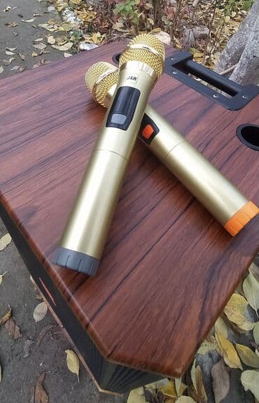 портативные колонки dabs audio: Аренда музыкальной колонки Подходит на все мероприятии Звучит чисто и — 2