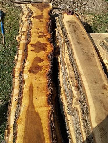 Карагач (Кара жыгач) продается около 10 кубов. размеры: длинна 2х