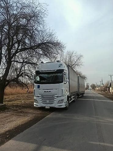 Сүйрөгүч, DAF, 2019 г., Парда
