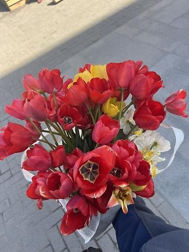 клубника ягода: Букет тюльпанов Срочно Продам в чолпон ате - Яркая композиция из — 1