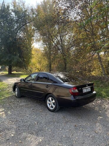 tayota runx: Toyota Camry: 2003 г., 2.4 л, Автомат, Газ, Седан — 7