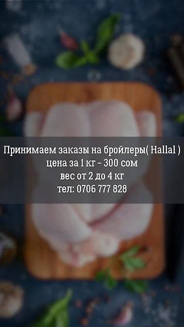 сейф пакеты бишкек: Бройлеры (Halal) - Принимаем заказы на халяльных бройлеров - Цена — 1