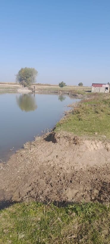 дом на гэс 2: 200 соток, Красная книга — 3