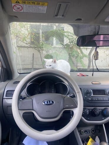 защитное стекло на мотоцикл: Чехол на руль, цвет - Голубой, Б/у, Самовывоз — 3