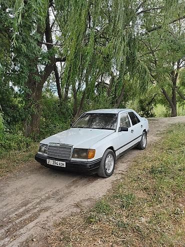 124 стиль: Mercedes-Benz W124: 1986 г., 2 л, Механика, Бензин, Седан — 2