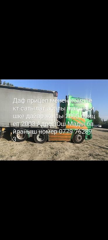 Тягач, DAF, 2005 г., Тентованный