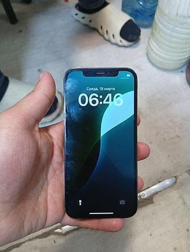 видео регистратор: IPhone 12 Pro, Графит — 3