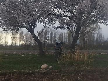матор скутер: Скутер/мопед 110куб дорожного типа двух местный на колёсах 17 — 2